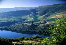 Alto Douro