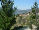 Vista da Quinta - Turismo Rural Douro