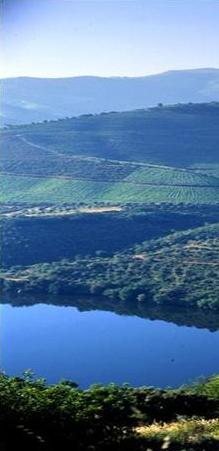 casa do lódão - turismo rural - douro - portugal