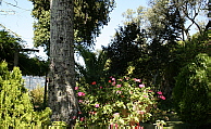 Jardim na Quinta do Outeiro